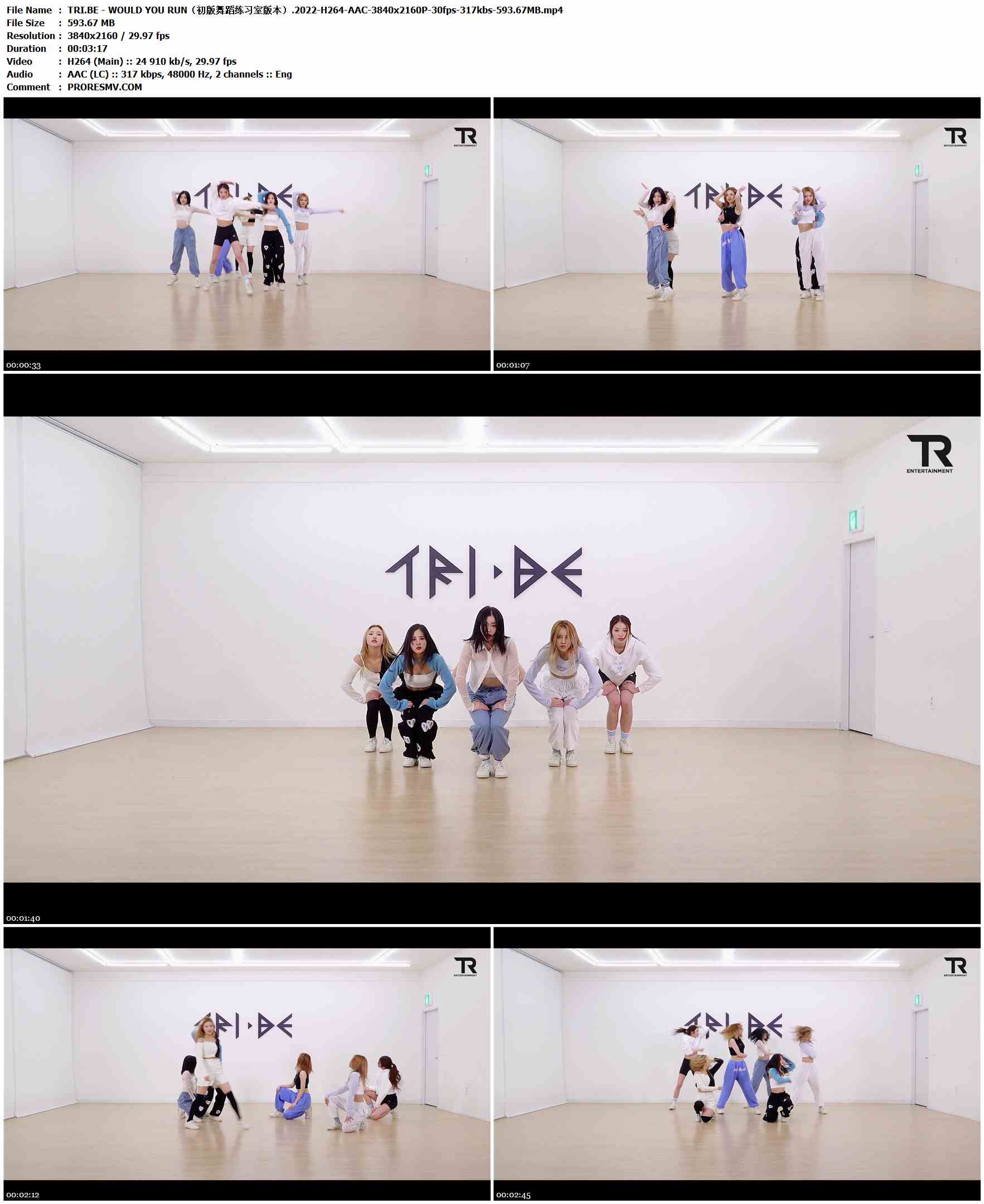 TRI.BE - WOULD YOU RUN（初版舞蹈练习室版本）.2022-H264-AAC-3840x2160P-30fps-317kbs-593.67MB官方MV_高清MV